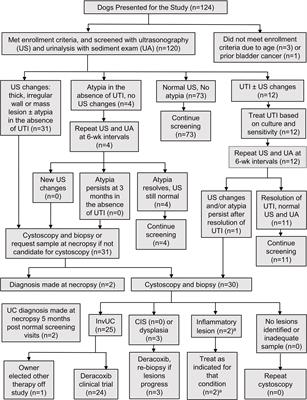 Identification of a naturally-occurring canine model for early detection and intervention research in high grade urothelial carcinoma